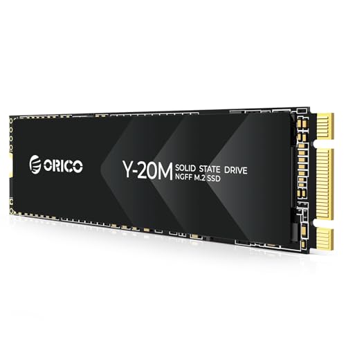 ORICO M.2 2280 SATA SSD 256GB Test