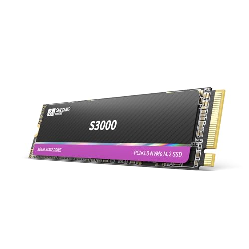 SAN ZANG MASTER S3000 SSD 2TB Vergleich