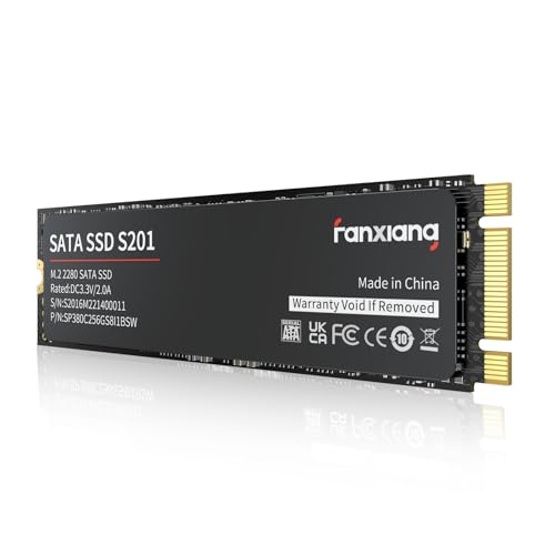 fanxiang S201 SSD 512GB Test