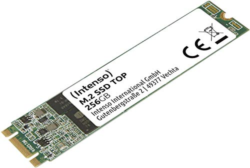 Intenso M.2 SSD 256GB Vergleich